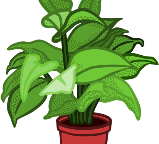 Pot Plant Clipart Stem Plant - Png Download (640x480), Png Download