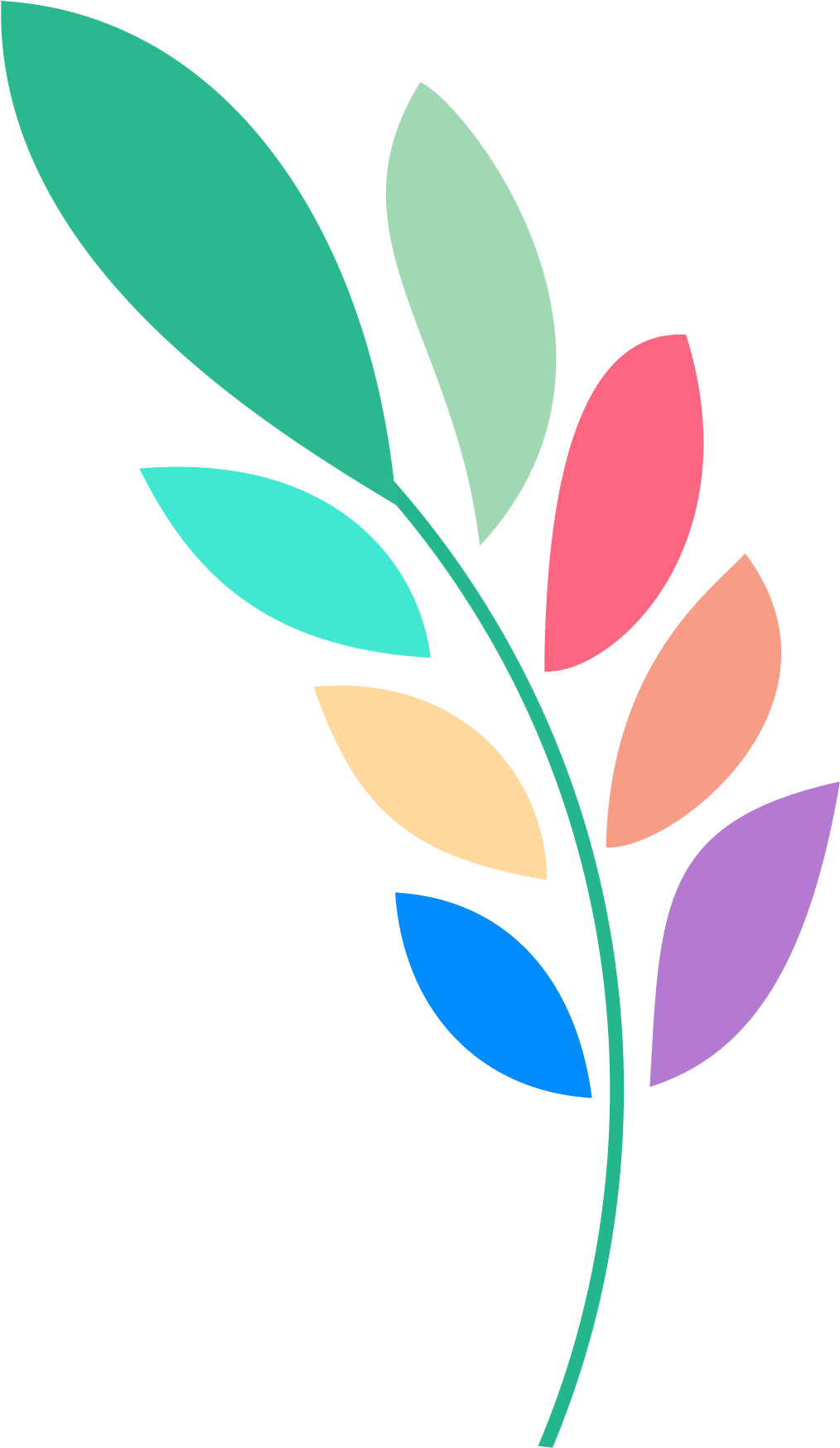 Avatar Color Olive Branch Transparent Clipart (2501x2500), Png Download