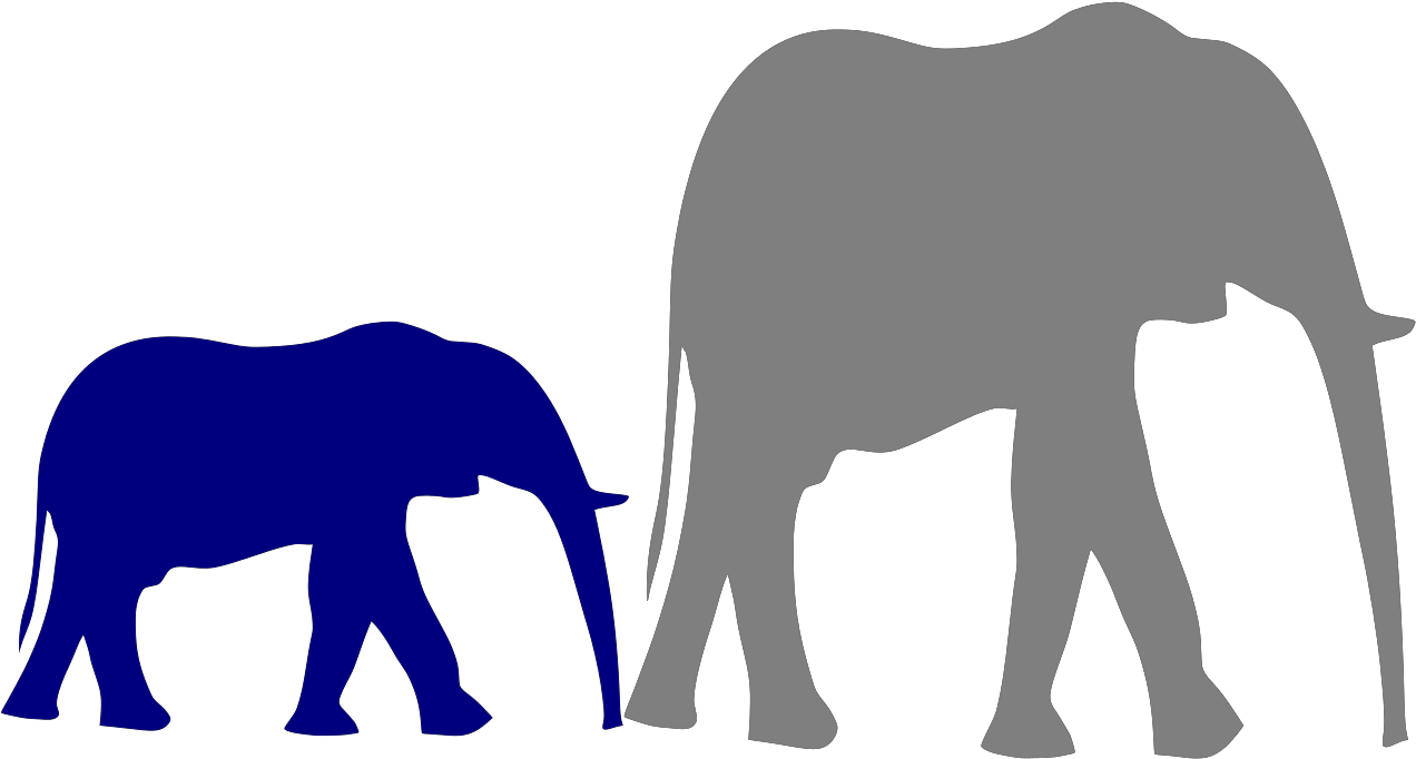 Free Png Download How To Set Use Mother And Baby Elephant Clipart (850x455), Png Download