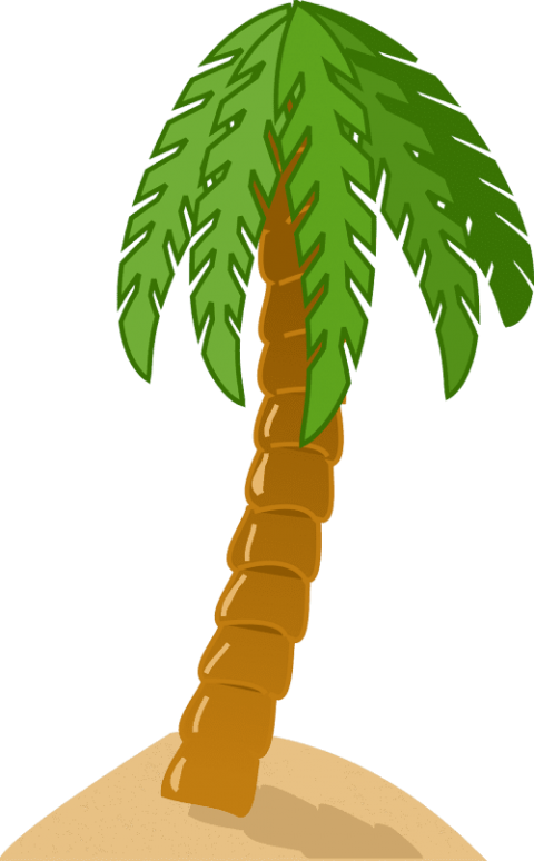 Free Png Download Palm Tree Png Images Background Png Clipart (480x774), Png Download