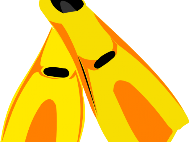 Fins Clipart Flipper - Png Download (640x480), Png Download