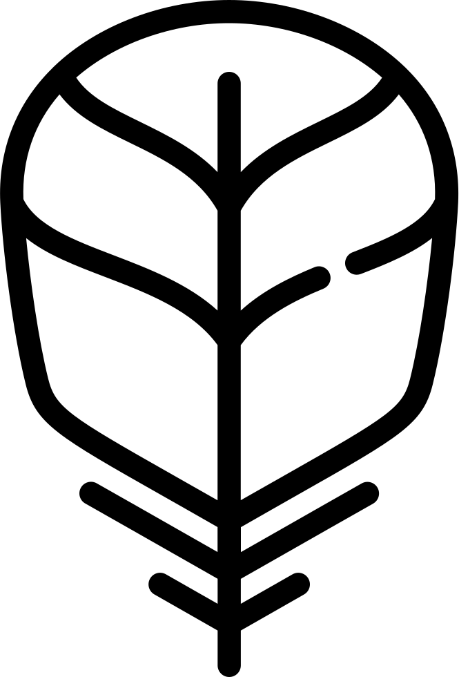 Feather Comments Clipart (665x980), Png Download