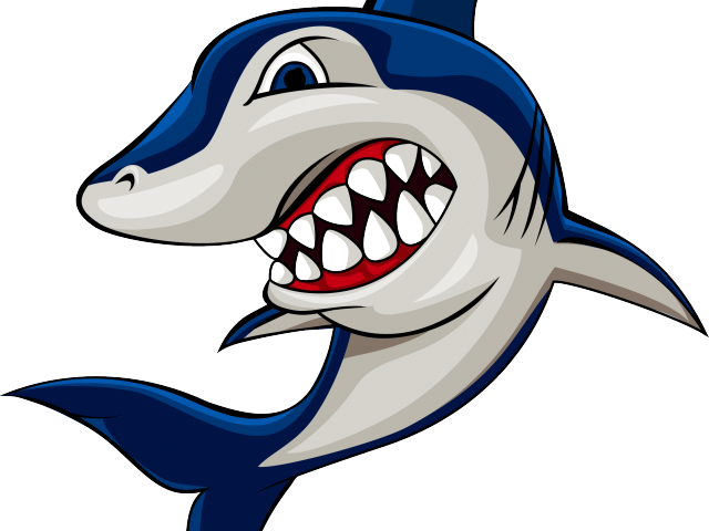 Great White Shark Clipart Dolphin - Png Download (640x480), Png Download