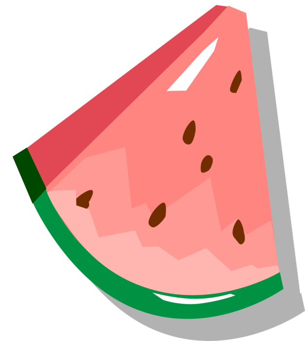 Graphic Library Fruit Image Illustration Of Melon Clipart (626x700), Png Download