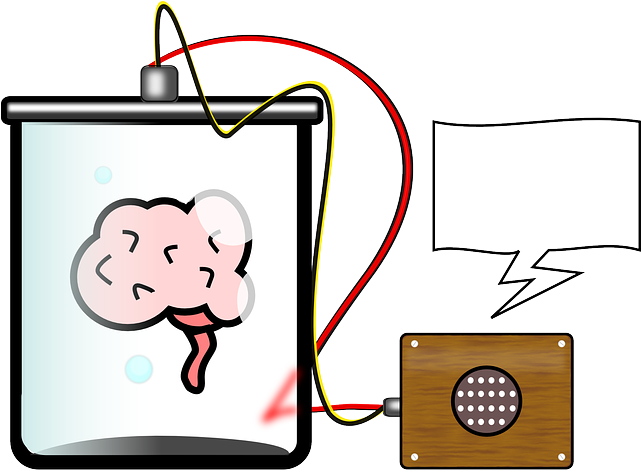 The Human Brain Clipart (640x484), Png Download