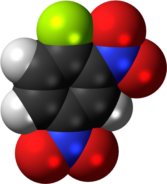 From Wikipedia, The Free Encyclopedia Clipart (640x696), Png Download