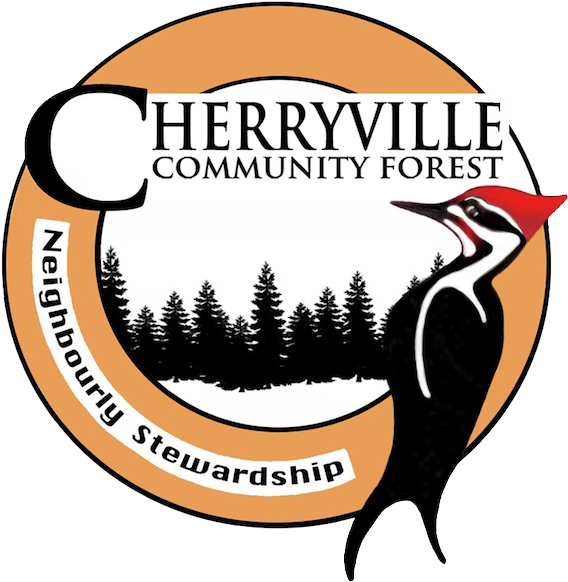 Png Black And White Library Committee Correspondence Clipart (576x595), Png Download