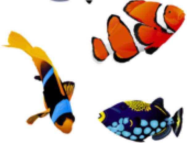 Original Clipart 5 Fish - Png Download (640x480), Png Download