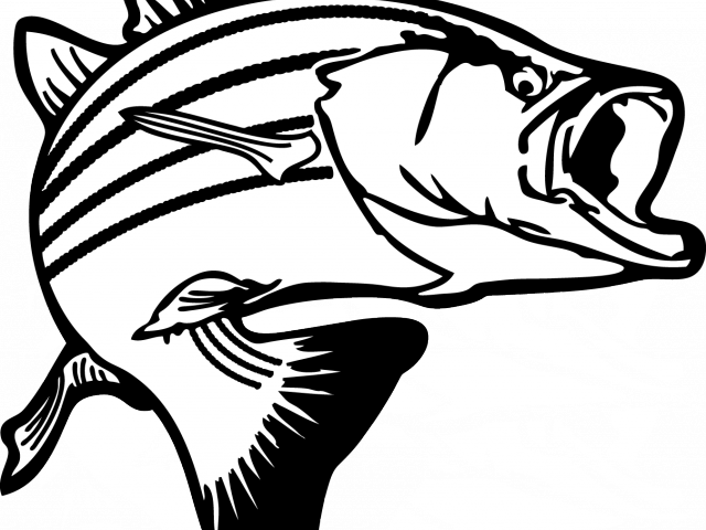 Salmon Clipart Dxf - Png Download (640x480), Png Download