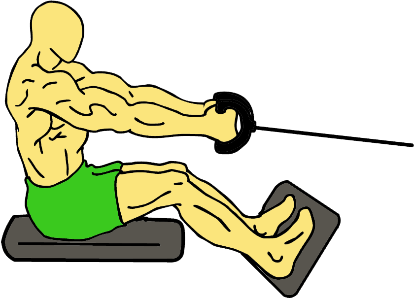 Lats Workout Clipart (900x605), Png Download
