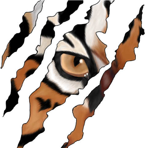 Claws Clipart Cheetah - Png Download (640x480), Png Download