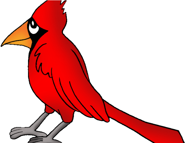 Cardinal Clipart Kentucky - Png Download (640x480), Png Download
