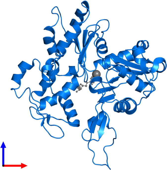 <div Class='caption-body'>pdb Entry 2zwh Contains 1 Clipart (800x800), Png Download