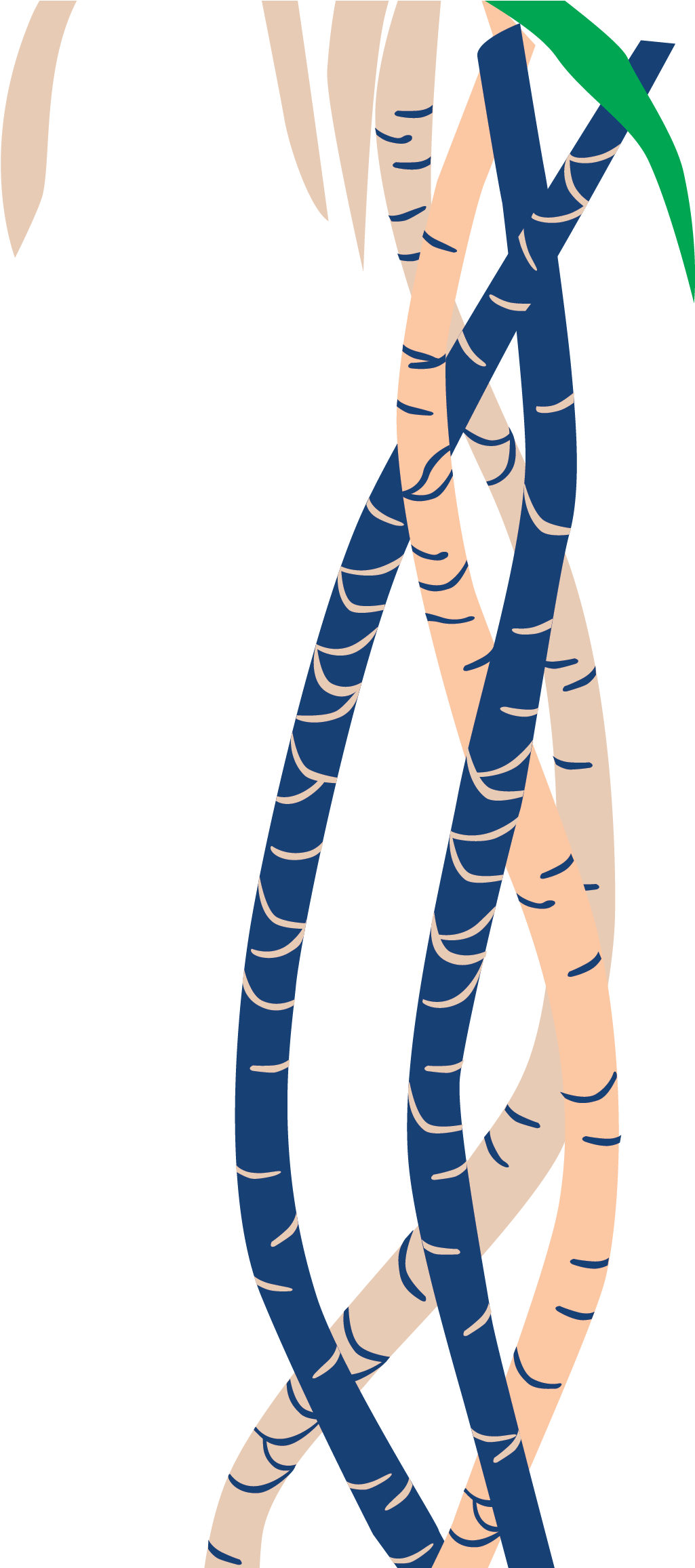 Botanical Name Clipart (1846x2312), Png Download