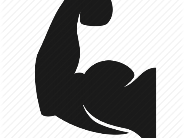 Bodybuilding Clipart Health Related Fitness - Png Download (640x480), Png Download