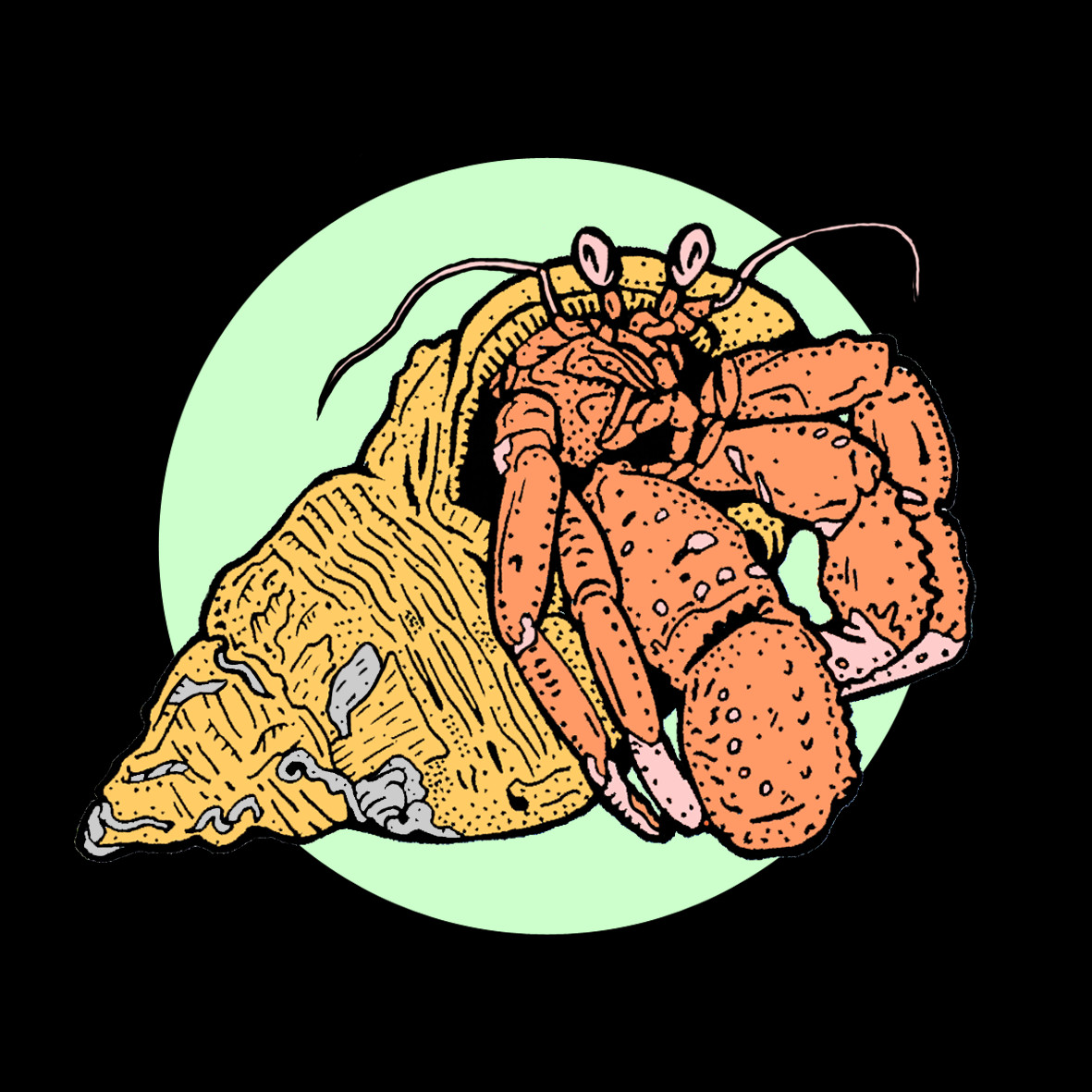 Hermit Crab Clipart (1181x1181), Png Download