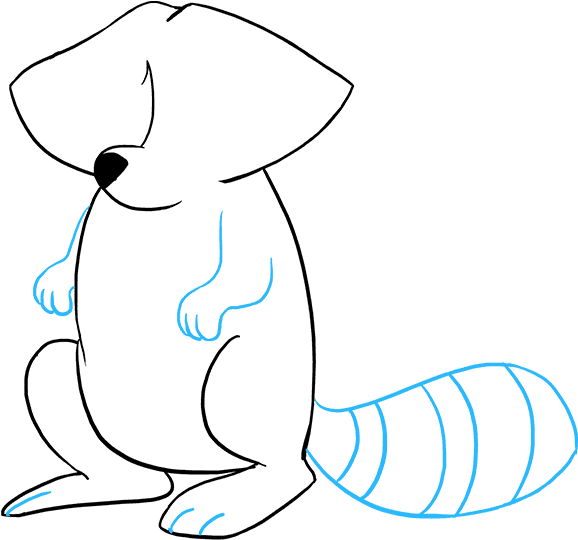 How To Draw Raccoon Clipart (680x678), Png Download