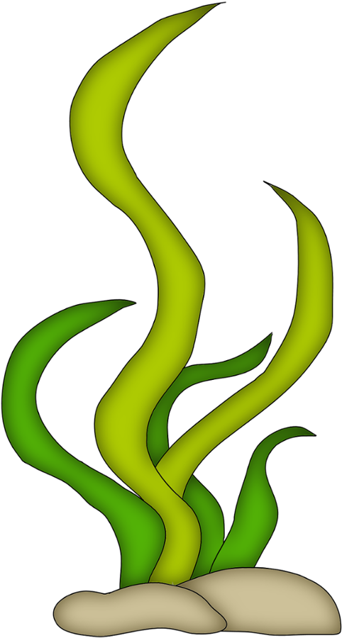 Danielle M Clipart (495x900), Png Download