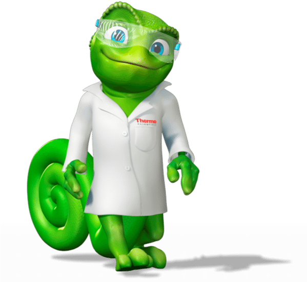 I Am Pleased To Present A Series Of Five Upcoming Webinars Clipart (600x567), Png Download