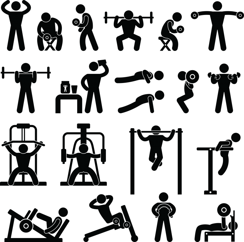Exercise That Boosts Nad Clipart (800x793), Png Download