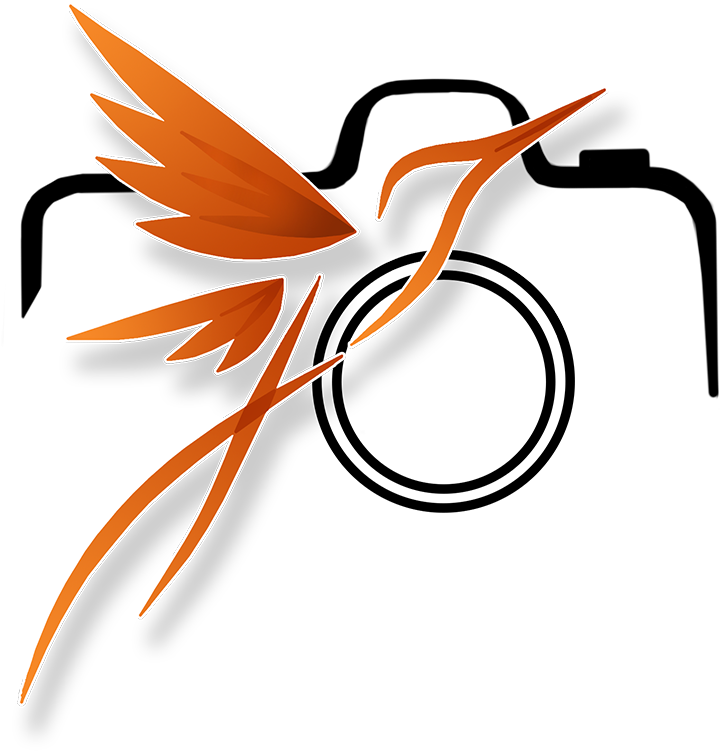 #107097547, Birds, Png V Clipart (850x850), Png Download
