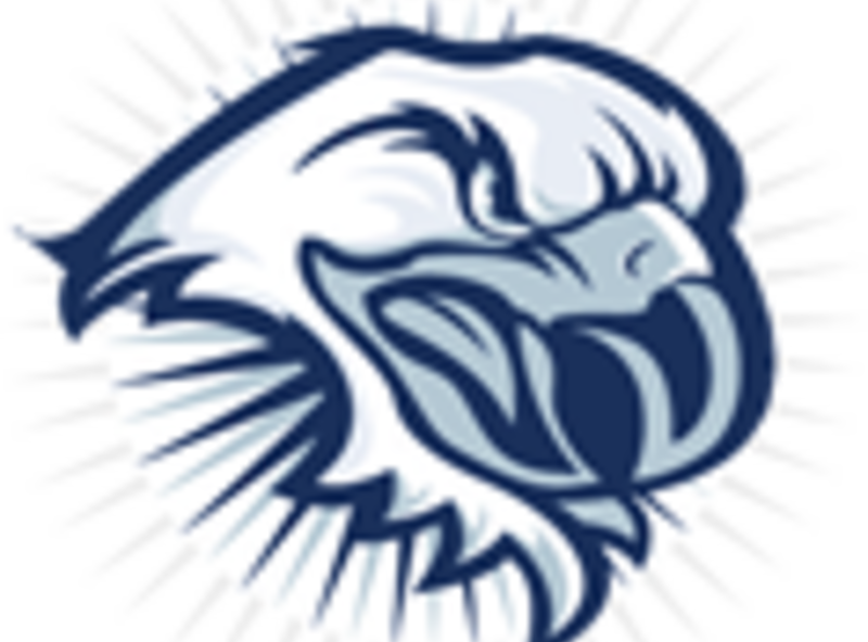 Pta Fundraising - Campaign Clipart (800x592), Png Download