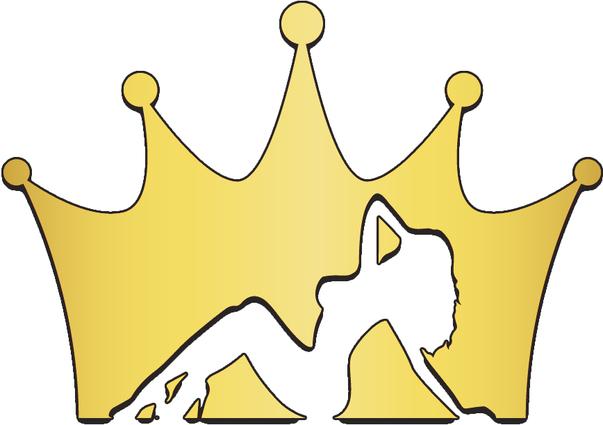 Disco Rick Media Clipart (1024x792), Png Download