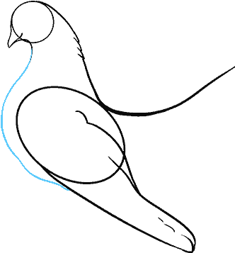 Drawing Feather Dove Clipart (678x600), Png Download