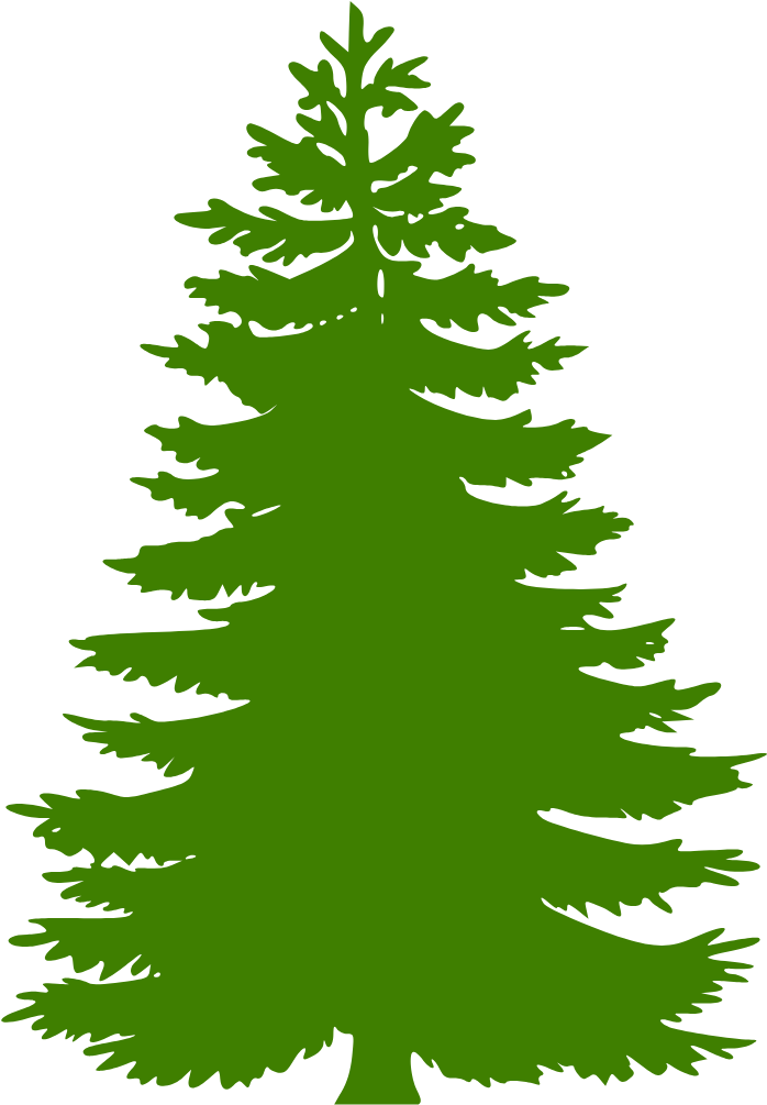 Fir Tree Clipart Camp - Png Download (1600x1200), Png Download