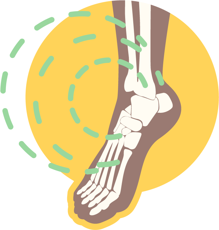 Foot Clipart Ankle Joint - Png Download (700x734), Png Download