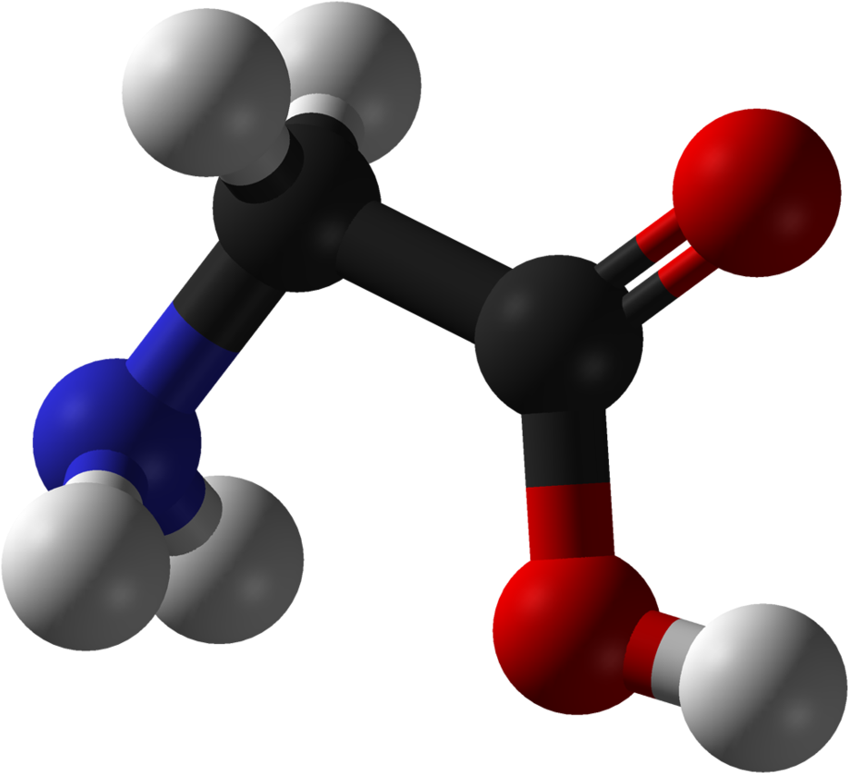 Runner Up Primary Inhibiting Neurotransmitter Clipart (1024x942), Png Download