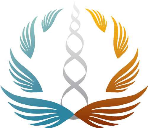 Bww Logo Color Clipart (607x518), Png Download