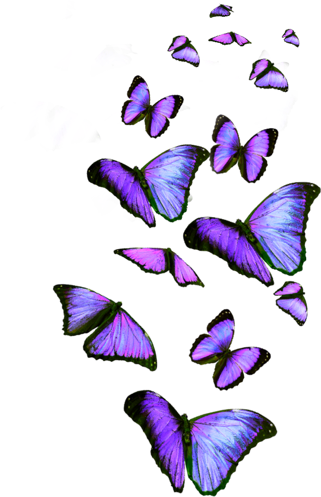 Lavender Butterfly Clip Art Png Download Full Size Clipart