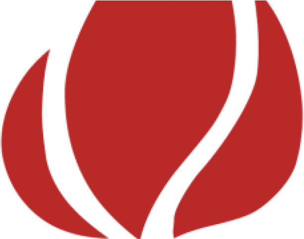 Bonfire Clipart - Png Download (640x480), Png Download