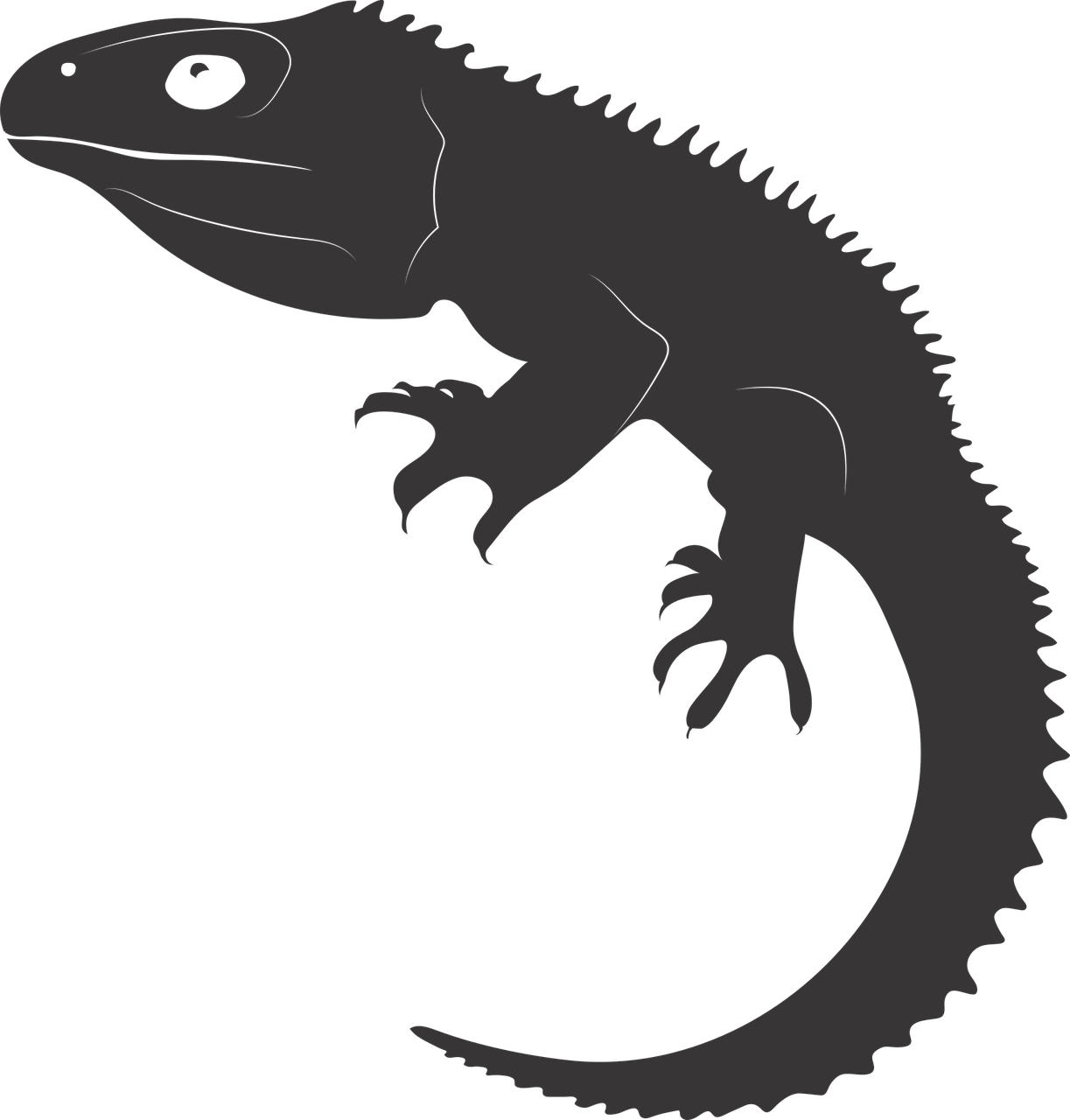 Tuatara,reptile,ancient Reptile,living Fossil,new Zealand,free Clipart (1223x1280), Png Download