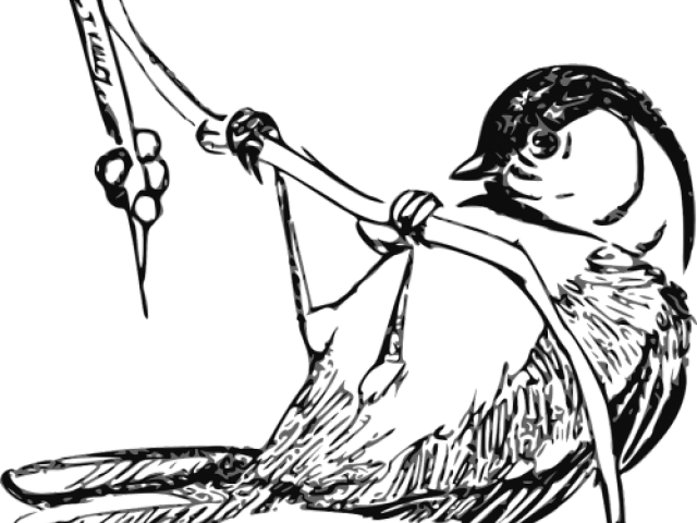 Wren Clipart Black And White - Png Download (640x480), Png Download
