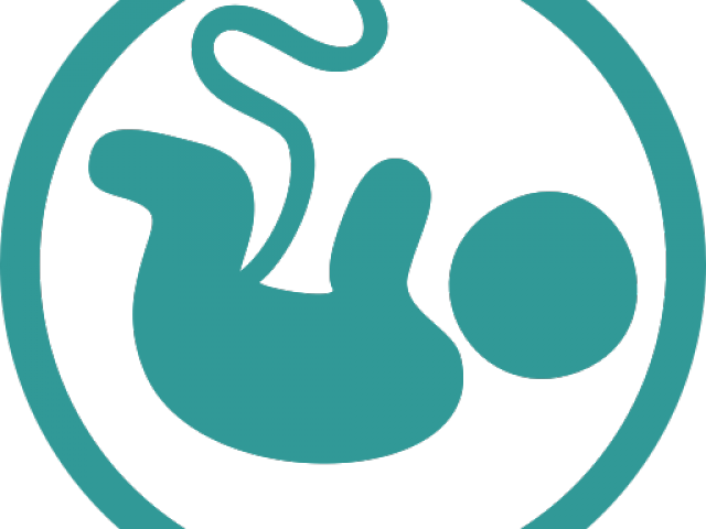 Womb Clipart Pregnant Baby - Png Download (640x480), Png Download