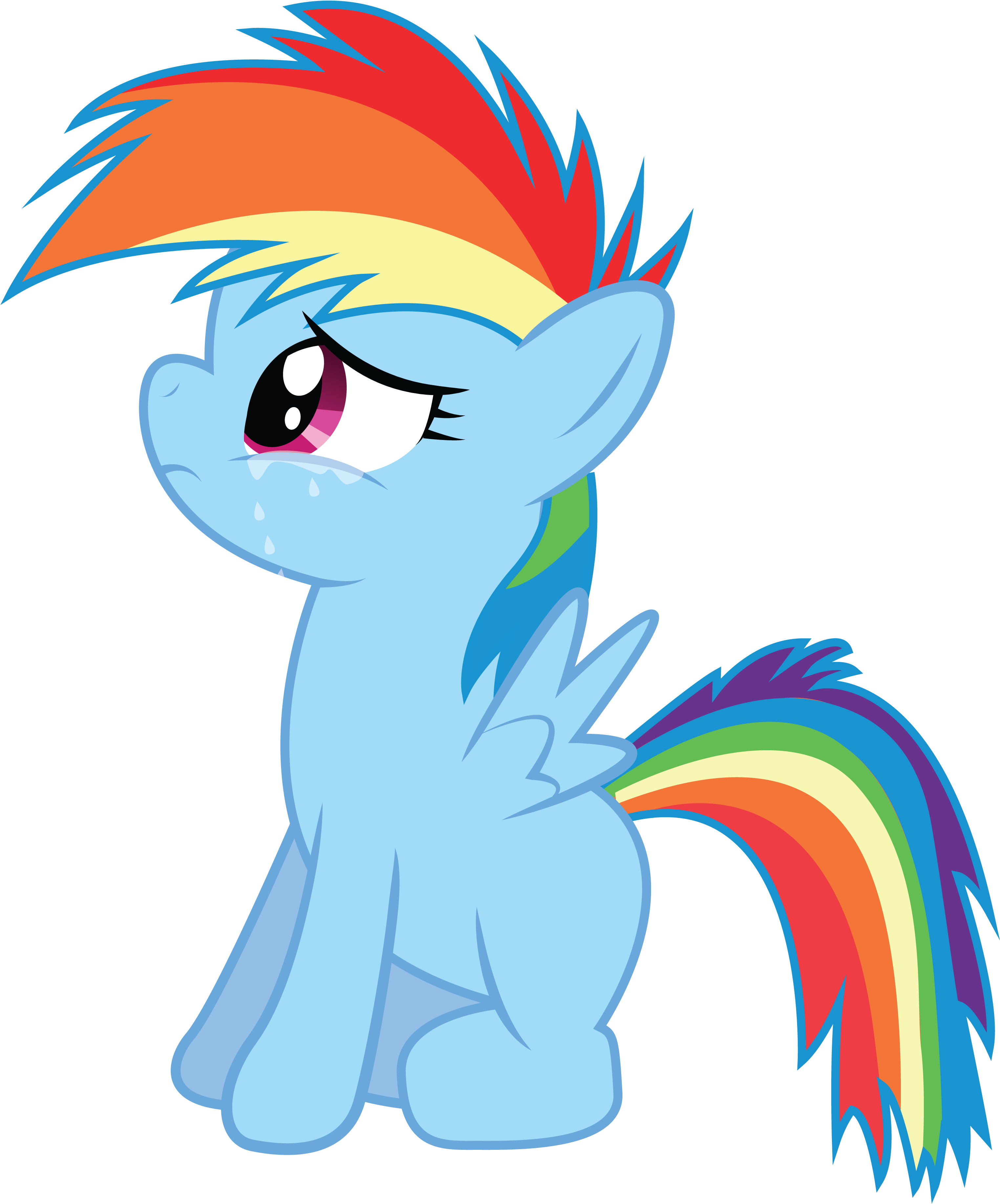 Rainbow Dash Pony Derpy Hooves Mammal Vertebrate Horse Clipart (3165x3815), Png Download