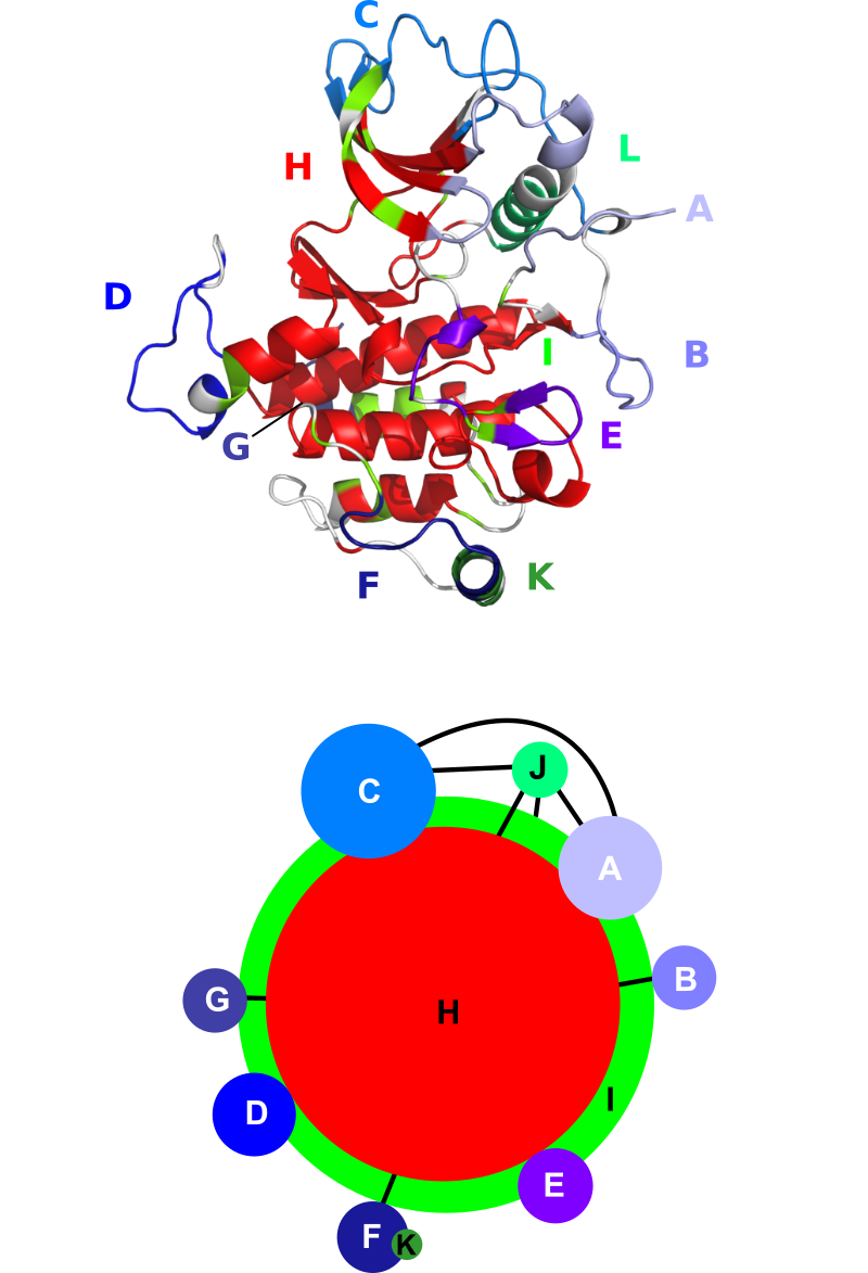 Karami, E Clipart (800x1173), Png Download