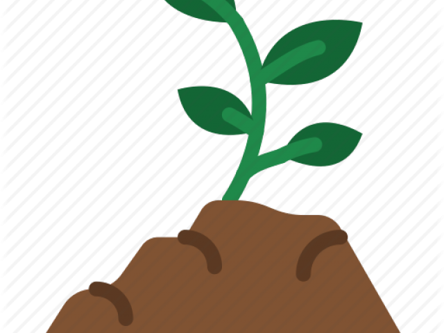 Seed Clipart Rich Soil - Png Download (640x480), Png Download