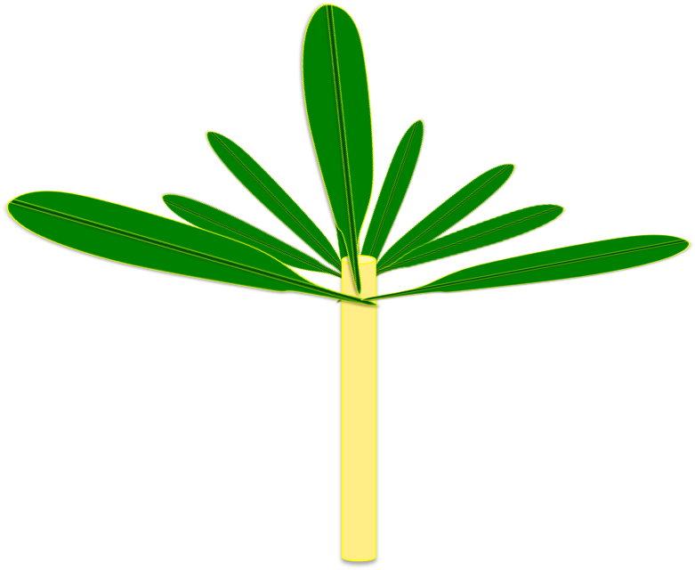 Soil Building Techniques Part Clipart (789x656), Png Download