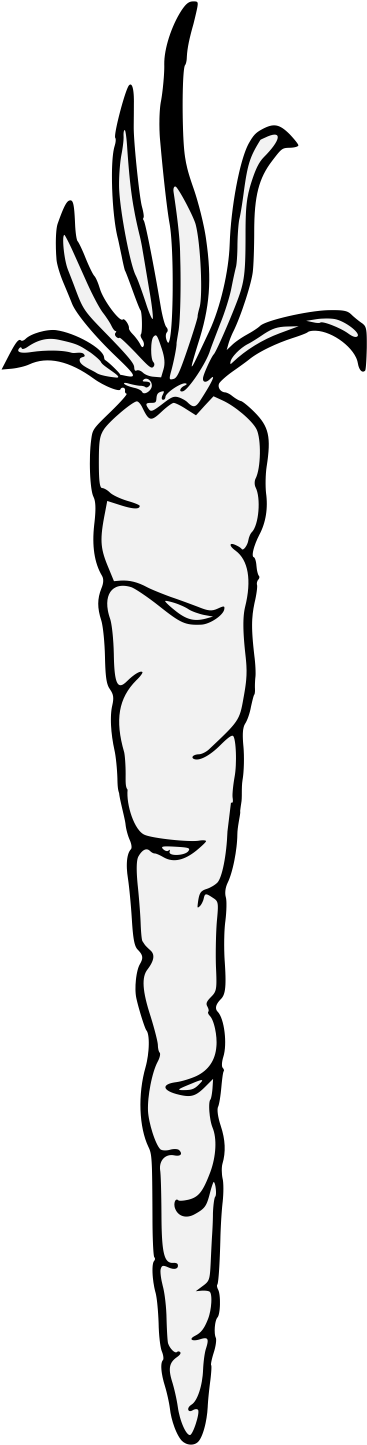 Carrot Clipart (379x1462), Png Download
