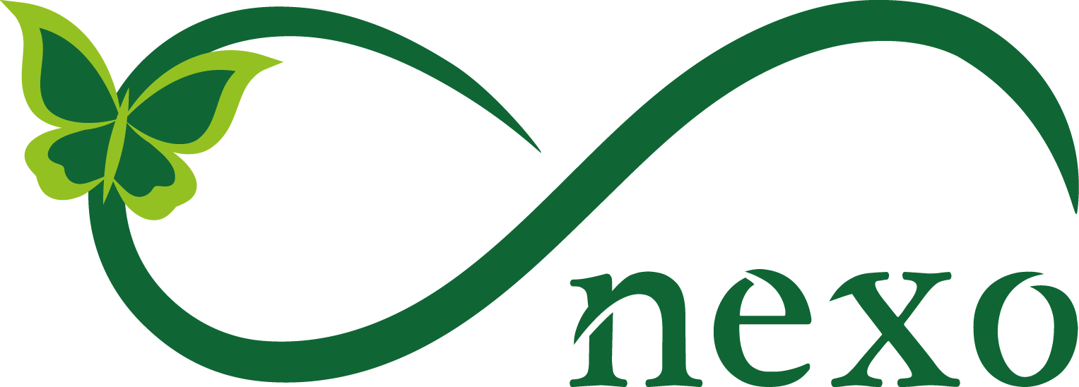 Volver A La Página Principal Clipart (1527x548), Png Download