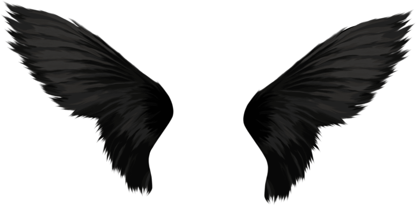 Download Black Wings Png Images Background Clipart (850x419), Png Download