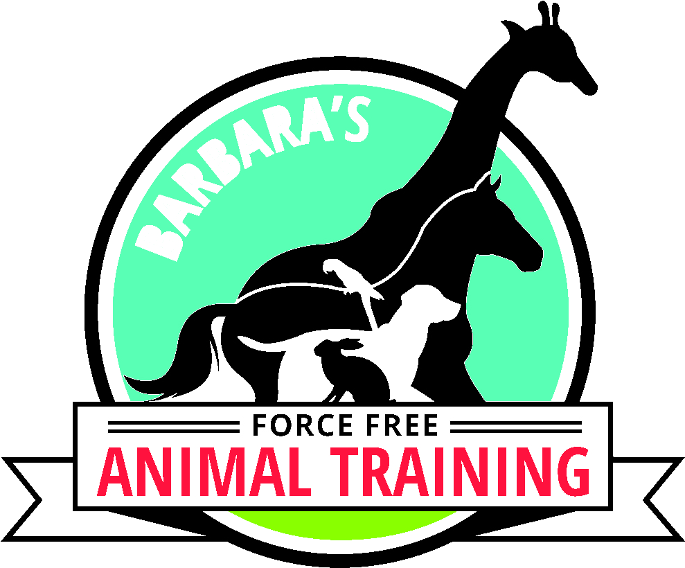 Animal Training Professional Development Behavior Checklist Clipart (1050x900), Png Download
