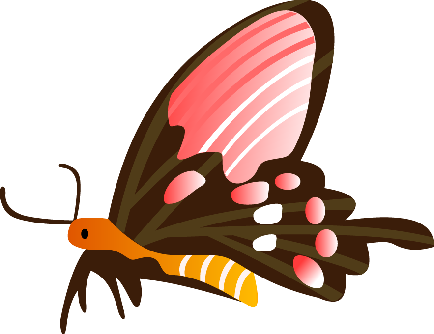 Free Vector Free Vector Butterfly Free Vector Free Clipart (883x680), Png Download