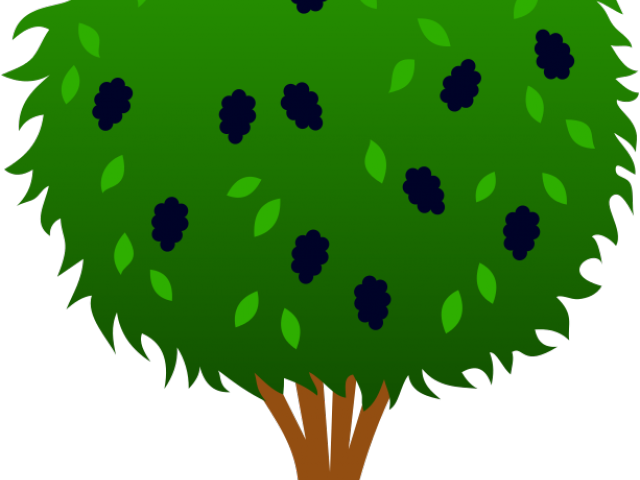 Shrub Bushes Clipart Food Plant - Png Download (640x480), Png Download