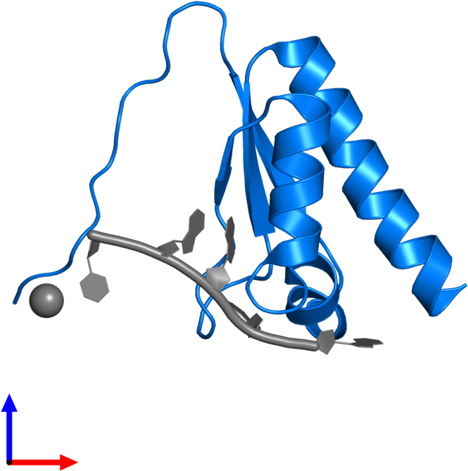 <div Class='caption-body'>pdb Entry 5wwx Contains 1 Clipart (800x800), Png Download