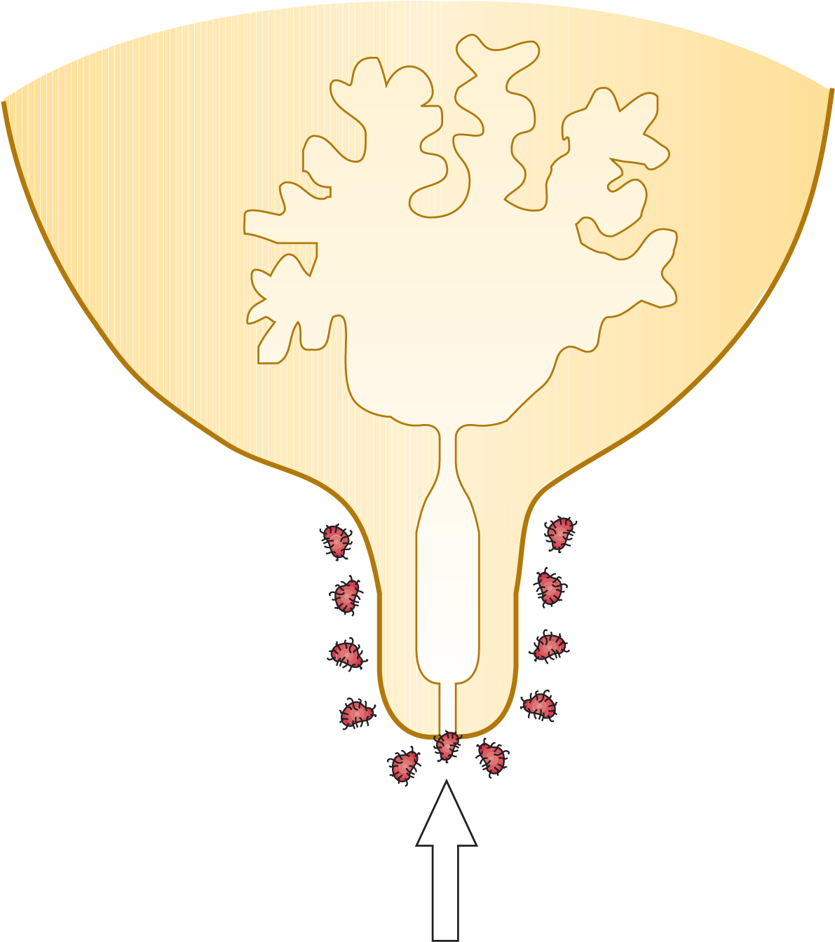 Zoom Clipart (1200x1347), Png Download