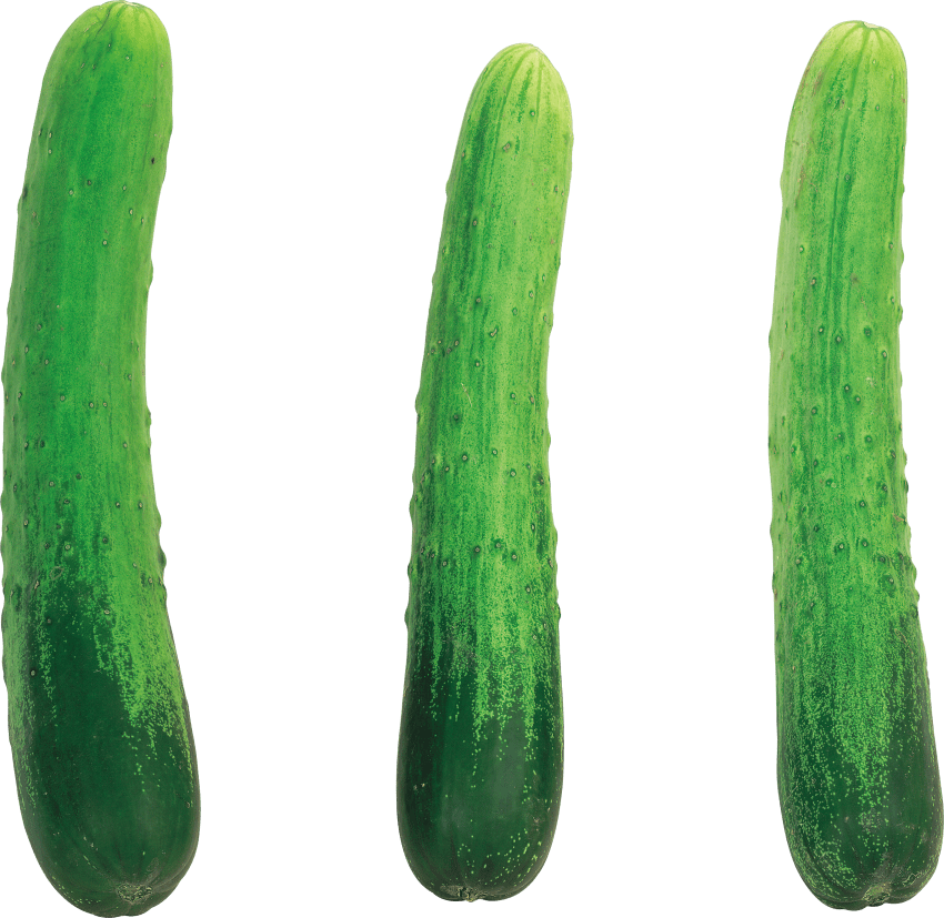 Download Cucumber Png Images Background Clipart (850x827), Png Download